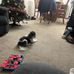 Gerald Shepard - Facebook