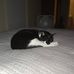 Gerald Sheppard - Facebook