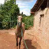 Geraldo Sidney - @geraldo.sidney3 - TikTok