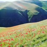 gerald silver - @geraldsilver68 - Instagram