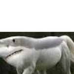 Gerald Snider - @doyira6323 - Instagram