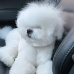 Gerald White Snow - @gerald_white_snow - Instagram