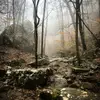 geraldstarling381 - @geraldstarling381 - TikTok