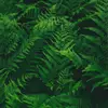 geraldstarling681 - @geraldstarling681 - TikTok