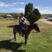 Jerry Wayne Stegall - Facebook