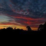 Stockton - @stocktongerald - Instagram