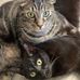 Gerald Sylvester - Facebook