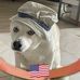 Gerald Thomas - Facebook