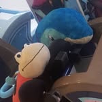 Gerald and Timmys adventures - @timmy_and_gerald - Instagram