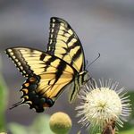 Gerald Wallis - @gerald.wallis - Instagram