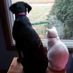 Gerald Wendt - Facebook