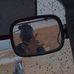 Gerald Whipple - Facebook