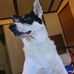 Gerry Whitworth - Facebook