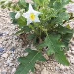 Gerald - @gerald_willson47076 - Instagram