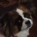 Gerald Wills - Facebook