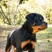 Geraldo De Witt - Facebook
