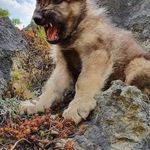 Gerald Woodall - @woodall9851 - Instagram
