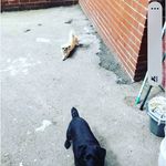 Gerald Wray - @gerald.wray - Instagram
