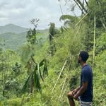 Gerald Wright - @life_innergetics - Instagram