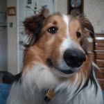 Gerald Yeager - @yeagg40 - Instagram
