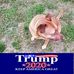Gerald Yeager - Facebook