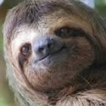Gerald Yoakum - @vslothboy_original - Instagram