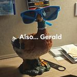 Gerald - @gerald_duck_york - Instagram
