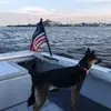 geraldguszack4 - @geraldguszack4 - TikTok