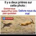 Gerard Zannou - Facebook