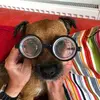 geraldineaddison4 - @geraldineaddison4 - TikTok