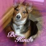 Geraldine Ahern - @geraldine.ahern.50 - Instagram
