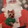 Geraldine Ahern - @geraldine.ahern - TikTok