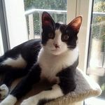 Albert Geraldine Gasnier - @albertgeraldinegasnier - Instagram