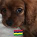Geraldine Albert - Facebook