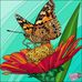 Geraldine Alexis - Facebook