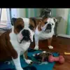 Gerryellen - @geraldinebaker92 - TikTok