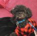 Geraldine Bardsley - Facebook