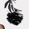 NYC Hair & Beauty Pro - @geraldine_beauty - TikTok