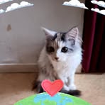 Géraldine Bertrand - Facebook
