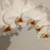 Geraldine Blackwell - Facebook