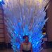 Geraldine Blake - Facebook