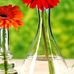 Geraldine Blake - Facebook