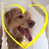 geraldinebowden34 - @geraldinebowden34 - TikTok