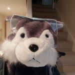 Geraldine Boyle - @geraldinebh53 - Instagram