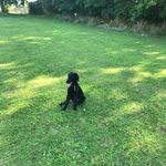 Geraldine Bragg - @bragg4002 - Instagram