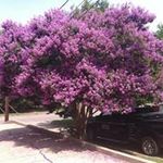 Geraldine Calhoun - @geraldinecalhoun - Instagram