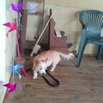 Geraldine Carroll - @geraldine.carroll.186 - Instagram