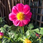 Geraldine Carroll - @grcarr - Instagram