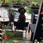 Geraldine Clement - @geraldine.clement.16 - Instagram