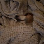 Géraldine Clément Monneau - @geraldineclementmonneau - Instagram